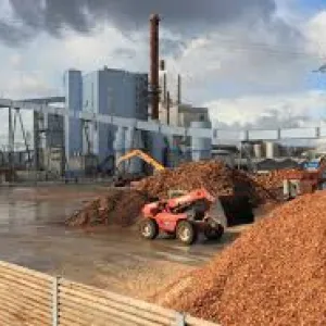 Photos Biomass Power Plant Business